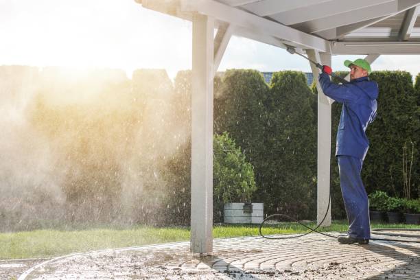 Best Graffiti Removal  in East Camden, AR